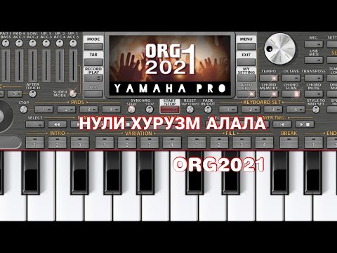 Видео: НУЛИ ХУРУЗМ АЛАЛА🐓ORG2021(чиста Кадами Курбон)