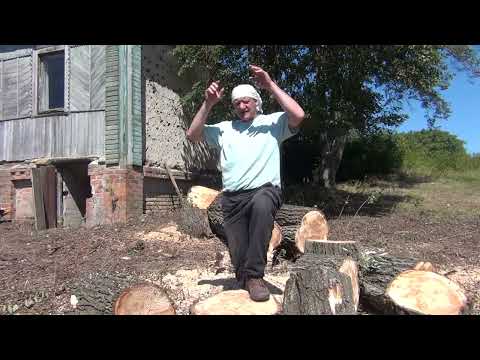 Видео: Увлекательный ремонт дома(2)  Последствия. Причины