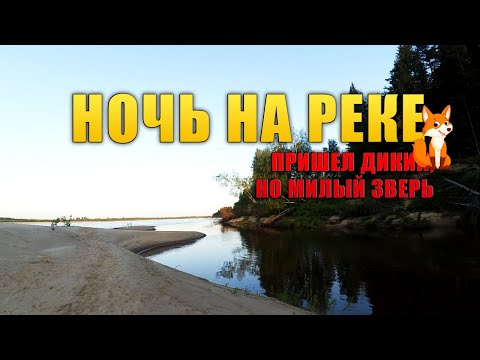 Видео: ПВД. Поход и рыбалка на поплавочную удочку. Палатка пирамида