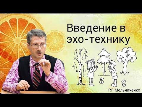 Видео: Введение в эхо-технику