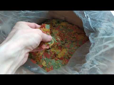 Видео: Тетра-мин подорожал - купил в Китае 40 кг хлопьев Сабрины . На ОЗОНЕ жулики торгуют Б\У как новыми !