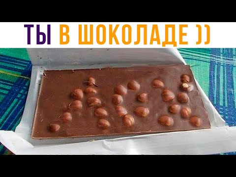 Видео: ТЕБЕ ВСЁ РАВНО НИКТО НЕ ПОВЕРИТ))) (скинь другу) Приколы | Мемозг 707