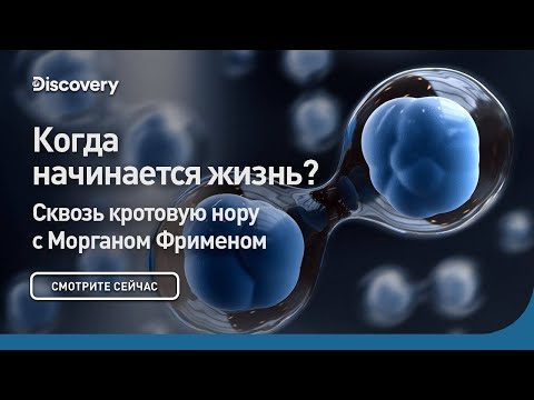 Видео: Когда начинается жизнь? | Сквозь кротовую нору с Морганом Фрименом | Discovery