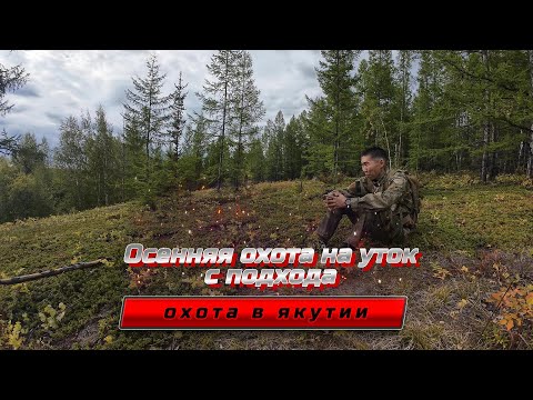 Видео: ОСЕННЯЯ ОХОТА НА УТОК 2024/КУЬУННУ КУС 2024/САХА СИРЭ