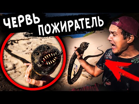 Видео: ГИГАНТСКИЙ ЧЕРВЬ ПОЖИРАТЕЛЬ НАПАЛ на нас Откопали ПЕСЧАНОГО ЧЕРВЯ ПОЖИРАТЕЛЯ Дом Кадиллак США