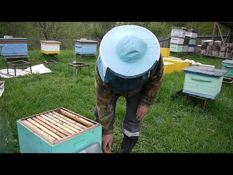 Видео: Едем за пакетами. Заселяем новый точок