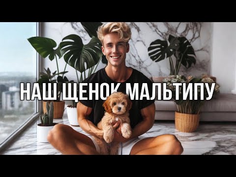 Видео: 🐶МЫ ЗАВЕЛИ ВТОРУЮ СОБАКУ МАЛЬТИПУ!🤡 / ВОЗНЯ С РАСТЕНИЯМИ, ОБЗОР ПОСЫЛОК и НОВЫЕ АЛОКАЗИИ С ВЫСТАВКИ🪴