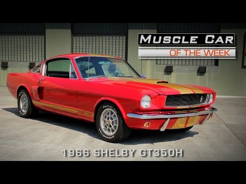 Видео: 1966 Shelby GT350H Muscle Car of the Week, видеоэпизод № 134