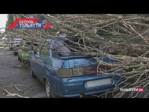 Видео: «Патруль Тольятти». Итоги недели 27.07.2024