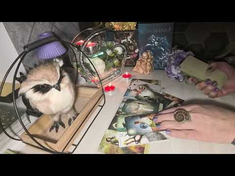 Видео: 🔥🤷Если готовы🔥. Что он хочет от Вас по настоящему🔥🤷