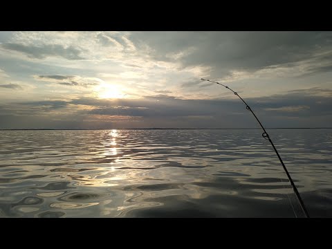 Видео: Рыбинка 2019 река Себла