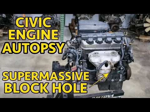 Видео: Почему D17 — худшая серия D из когда-либо созданных? Разборка взорвавшегося двигателя