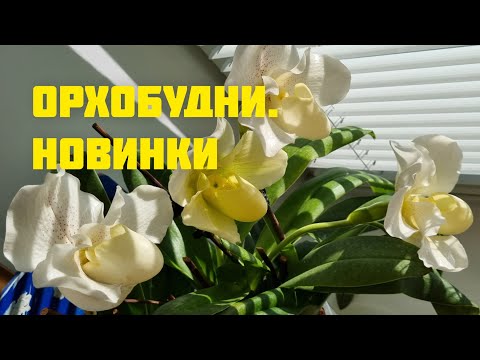 Видео: Поищем цветоносы, посмотрим цветы и новинки