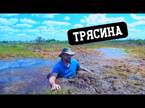 Видео: ПРОВАЛИЛИСЬ В ТОПКОЕ БОЛОТО