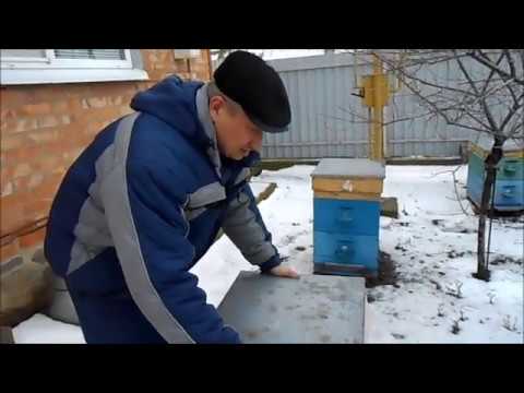 Видео: зимовка в одном корпусе рута или в двух