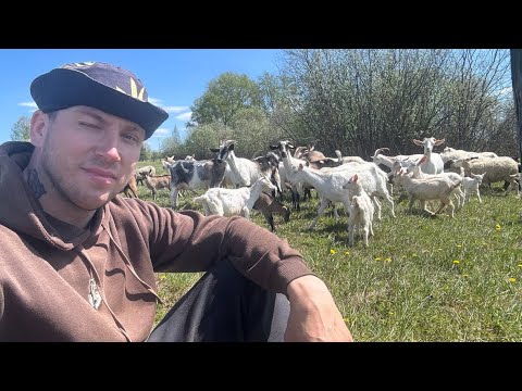 Видео: МОЯ НОВАЯ ЖИЗНЬ / СЧАСТЛИВЫЙ ЧЕЛОВЕК