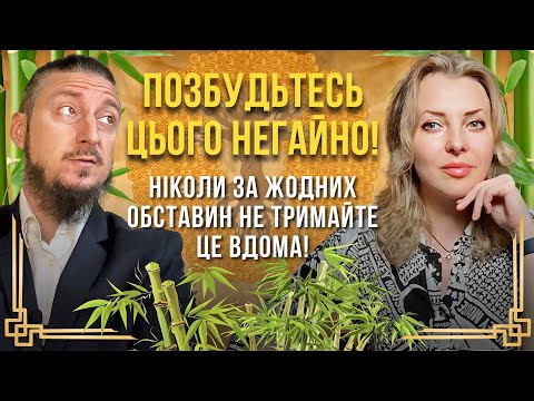 Видео: Ніколи за жодних обставин не тримайте це вдома! Позбудьтесь цього негайно! @davidvekua