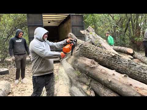 Видео: 🌳STIHL як завжди 👍👍👍