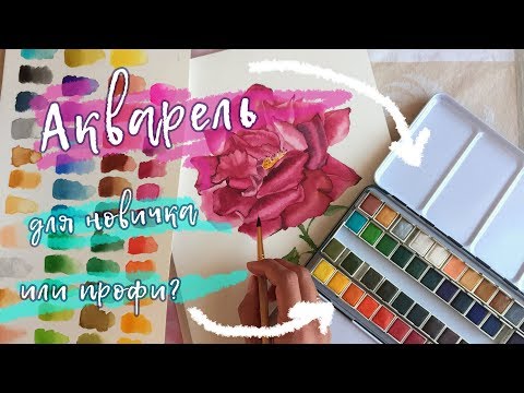 Видео: Акварель Mungyo: мечта поэта (художника)// back to school 2018