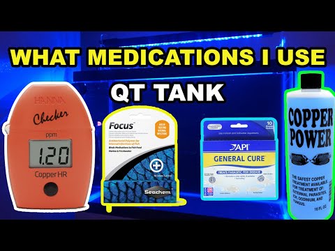 Видео: Что я лечу в QT