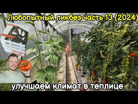 Видео: Любопытный ликбез часть 13 (2024)
