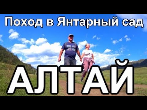 Видео: Алтай с рюкзаком, Поход по Горам вдоль реки, Базы отдыха Алтая
