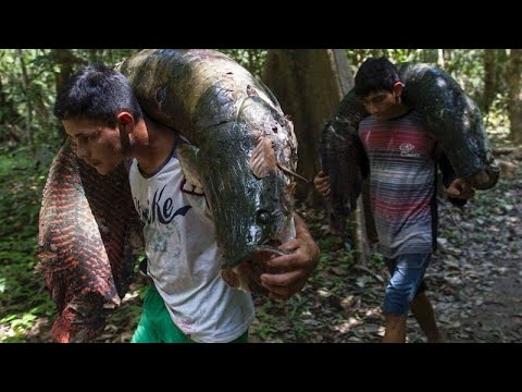 Видео: Ученые Обнаружили НЕЧТО в Водах АМАЗОНКИ! Неожиданные Существа Живущие в Амазонке!