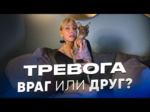 Видео: ТРЕВОГА – враг или друг?