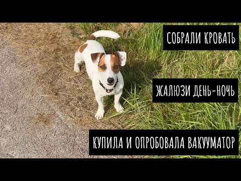 Видео: Доставили и собрали кровать / Купила вакууматор / Повесили жалюзи день-ночь