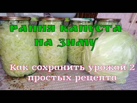 Видео: Ранняя капуста консервированая.