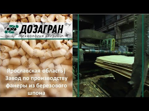 Видео: Ярославская область| Завод по производству фанеры из березового шпона