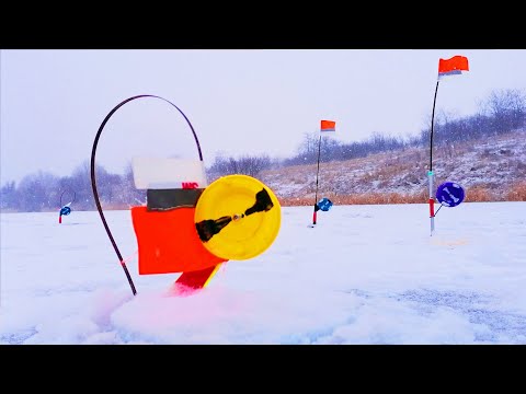 Видео: Наловил СУДАКА на ЖЕРЛИЦЫ перед СНЕГОПАДОМ. Зимняя рыбалка на жерлицы