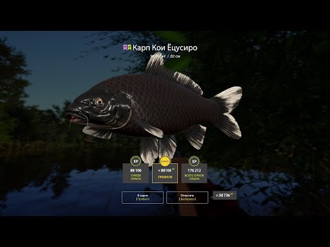 Видео: РУССКАЯ РЫБАЛКА 4 ОТБИВАЮ  СЕРЕБРО.#тв #робинзоныч #игра # стрим #рр4