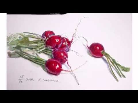 Видео: Как написать редиску акварелью
