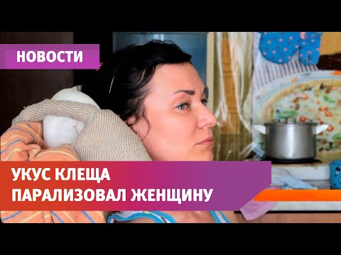 Видео: Укус клеща лишил уфимку бизнеса, мужа и сына