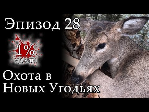 Видео: 1% УДАЧИ. Эпизод 028: Охота в новых угодьях.