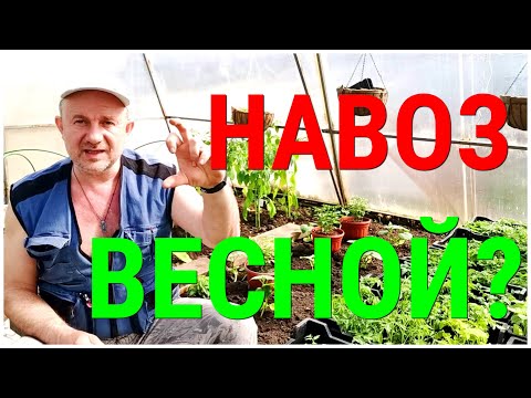 Видео: СВЕЖИЙ НАВОЗ опасен весной и незаменим осенью Нормы и правила внесения Плодородие Вашей Земли