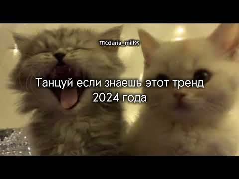 Видео: ✨😽Танцуй если знаешь этот тренд 2024 года😽✨