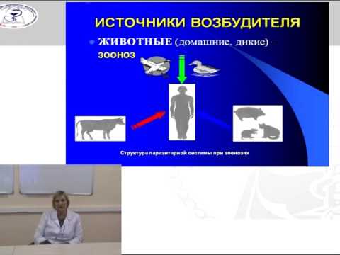 Видео: Лекция: «Понятие об эпидемическом процессе».
