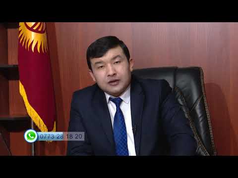 Видео: Сот мени чакырбай эле алимент кыркып коюптур ушул мыйзамдуубу?