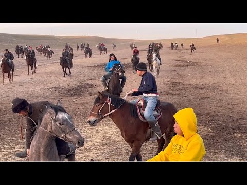 Видео: Сарсенбі Көкпар Аман агамыздын  #көкпар # Құнан уйрету көкпар.🐴