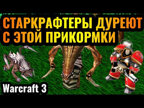 Видео: ЭТА ДИЧЬ РАБОТАЕТ: Starcraft стиль игры в Warcraft 3 Reforged