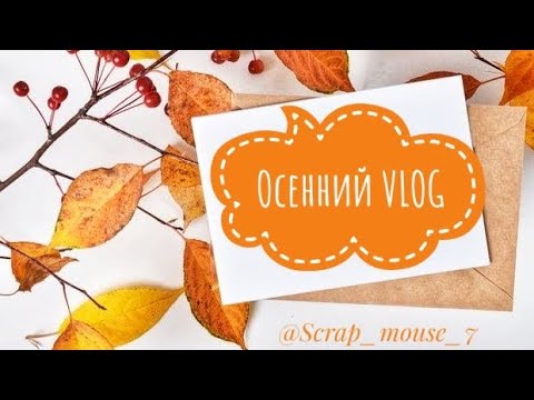 Видео: Scrap_VLOG - обзор скрапбумажек, хранение штампов, осенние цветочки.