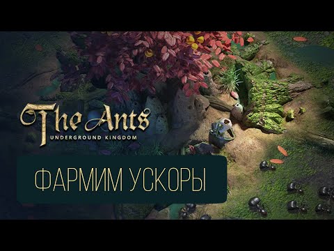 Видео: The Ants Underground Kingdom. Фармим ускоры на огурцах по субботам.