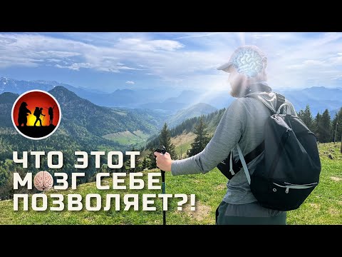 Видео: Почему мы теряемся в лесу: как мозг сбивает нас с пути