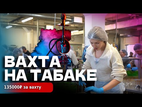 Видео: РАБОТА ВАХТОЙ НА ТАБАКЕ для кальянов   135000₽