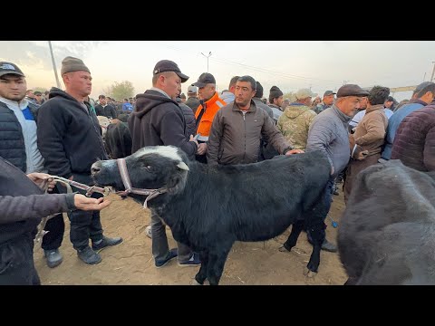 Видео: БОКИЛАДИГАН ЁШ НОВВОСЛАР 22-ОКТЯБР БОҒОТ МОЛ БОЗОРИ !!! XORAZM SAVDO 