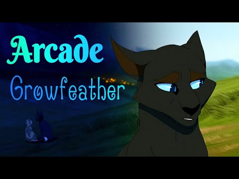 Видео: ЗАКАЗ Коты Воители Грач: Arcade [Даниэла]