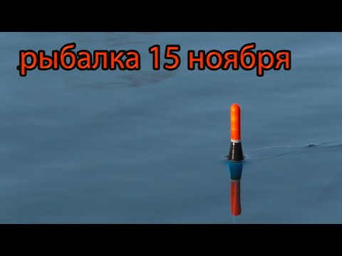 Видео: Рыбалка на поплавок 15 ноября на речке.