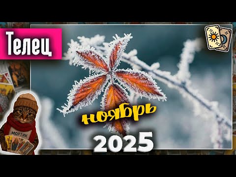 Видео: Телец Таро Ноябрь 2025